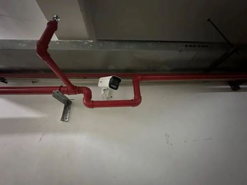 D1 一个时代的序幕