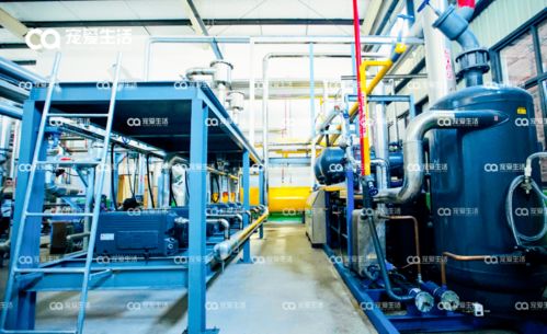 爱立方 从品牌到自建工厂，以D2级压力容器专注打造冻干好物