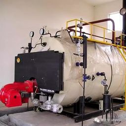 醇基燃料锅炉与燃气锅炉在建设运行成本方面的对比